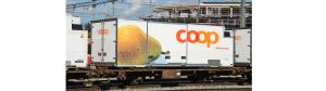 H0m RhB Lb-v 7865 Coop-Container Birne - Bemo 2269125 Spur H0m