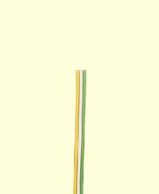 Litze / Kabel 0,50 mm�  Gelb/wei�/gr�n 20 m - Brawa 3235 allgemein