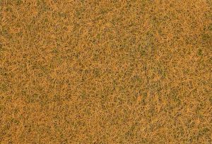 Grasfasern, beige, 4 mm, 20 g - Faller 170223 allgemein