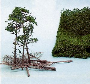 10 Kiefern  10-16 cm + HEKI flor - Heki 1534 allgemein