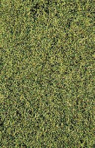 HEKI decovlies Wildgras, Savanne 28x14 cm - Heki 1574 allgemein