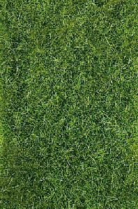 HEKI decovlies Wildgras, dunkelgr�n 28x14 cm - Heki 1577 allgemein