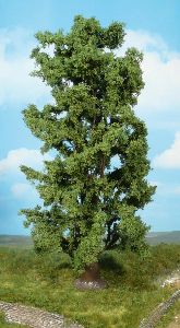 1 Felsenahorn 30 cm - Heki 1742 allgemein