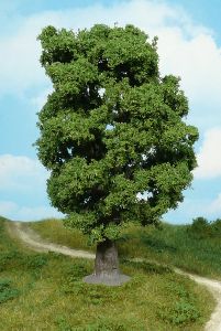 1 Eiche 18 cm - Heki 1940 allgemein