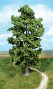 1 Felsenahorn 30 cm - Heki 1942 allgemein