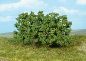 6 Erlen z. Stecken 8 cm - Heki 1999 allgemein