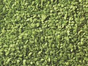 Laub, hellgr�n, 100g - Noch 07152 allgemein