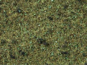 Streugras Waldboden, 2,5 mm - Noch 08350 allgemein
