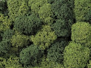 Dekormoos, gr�n sortiert - Noch 08610 allgemein