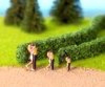 H0/TT/N Hecken, hellgr�n - Noch 21512 allgemein