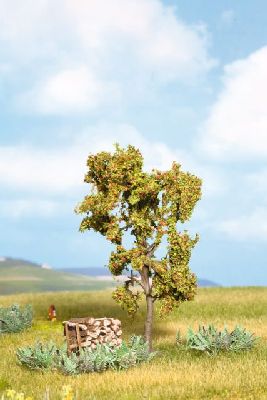 H0/N Vogelbeere  Beeren 11,5 - Noch 21650 allgemein