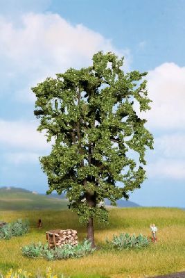 0/N Kastanie 19 cm - Noch 21800 allgemein