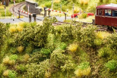 Bahndammbewuchs - Noch 23102 allgemein