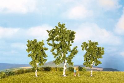 H0/TT Birken, 3 St�ck - Noch 25120 allgemein