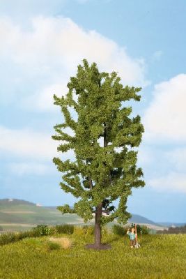 0/N Linde, 18,5 cm hoch - Noch 25880 allgemein