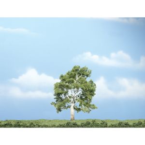 Bergahorn 10 cm - Woodland WTR1609 allgemein