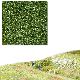 Microflocken mittelgr�n