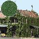 Foliage mittelgr�n