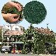 Foliage dunkelgr�n