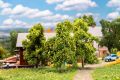 3 Obstb�ume