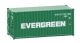 20' Container EVERGREEN