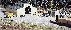S�gewerk Walton & Sons