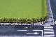2 Ligusterhecken 12 x 7 mm, je 50 cm lang