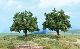 2 Apfelb�ume 13 cm, Spur 0
