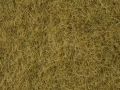 Wildgras, beige, 6 mm