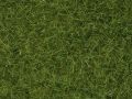 Wildgras hellgr�n 6 mm 100g