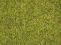 Streugras Sommerwiese, 2,5 mm