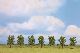 H0/Z Laubb�ume, 7 St�ck