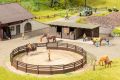H0 micro-motion Reitplatz