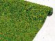 Grasmatte