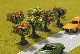 B�sche 6 Stk. sortiert, 5cm