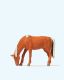 Weidendes Pferd