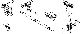 Satz Kesselventile BR 01,03,4