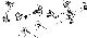 Satz Kesselventile BR 01 10