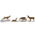 N Hirsche / Wild