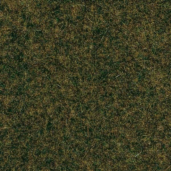 75114 Auhagen - 1 Waldbodenmatte - allgemein