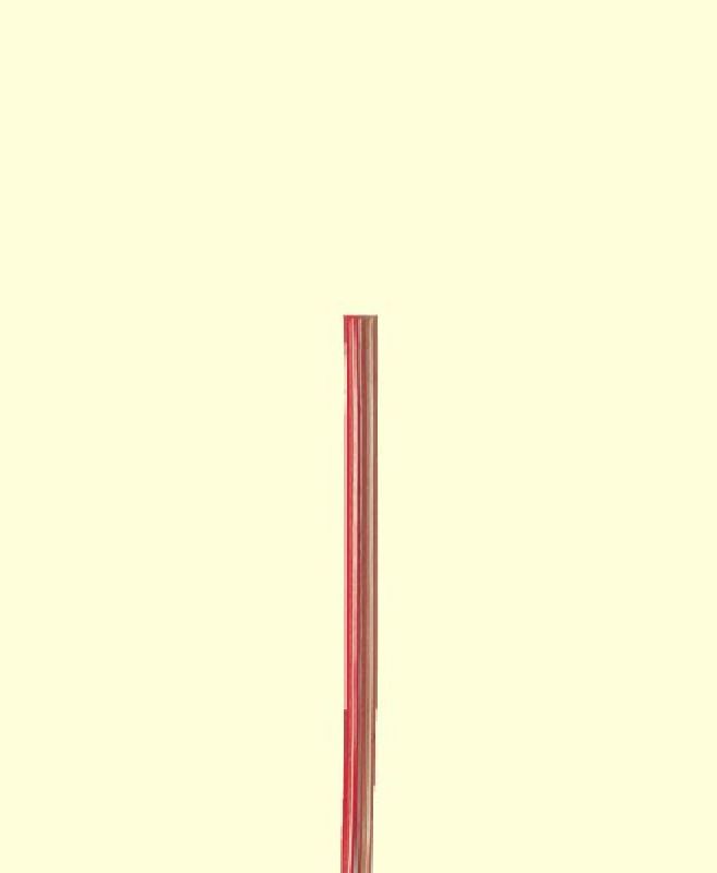 3215 Brawa - Litze / Kabel 0,25 mm² braun/rot 5 m - allgemein