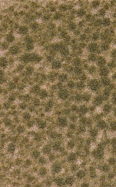 3514 Busch - Grasb�schel kurz Herbst - allgemein