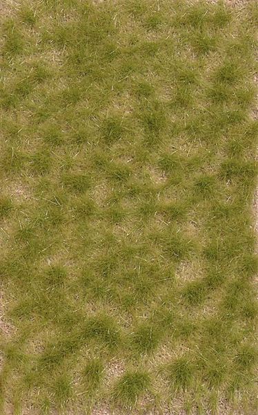3533 Busch - Grasb�schel 2-fbg,kurz,Sp�tso - allgemein