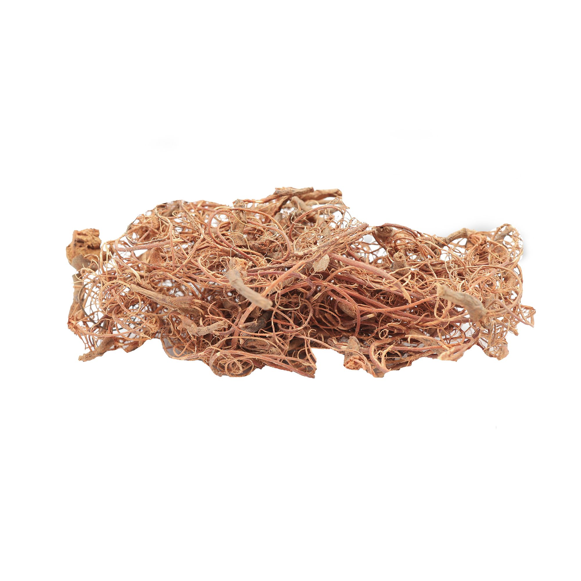 3700 Busch - Unterholz - Spur H0