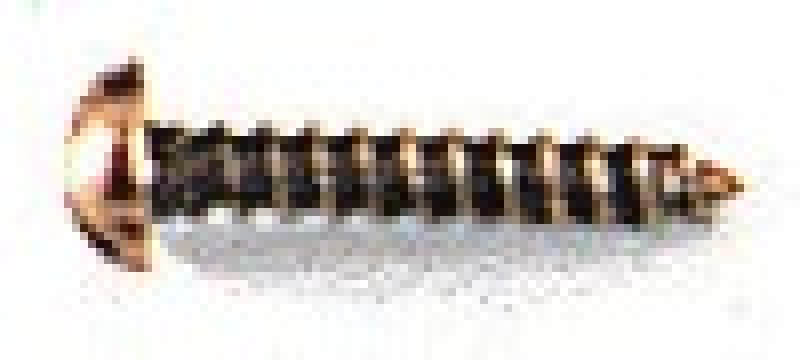6410 Fleischmann - Holzschrauben 144 St�ck Gleisbefestigung - Spur H0