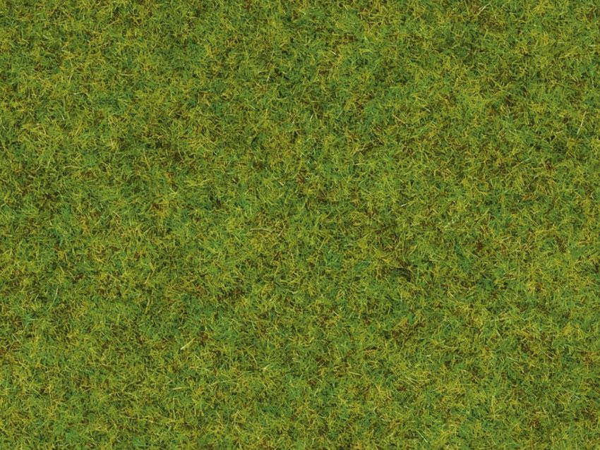 08300 Noch - Streugras Fr�hlingsw., 2,5mm - allgemein