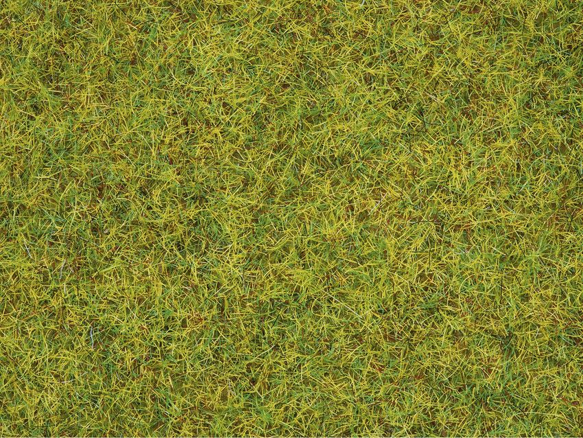 08310 Noch - Streugras Sommerwiese, 2,5 mm - allgemein