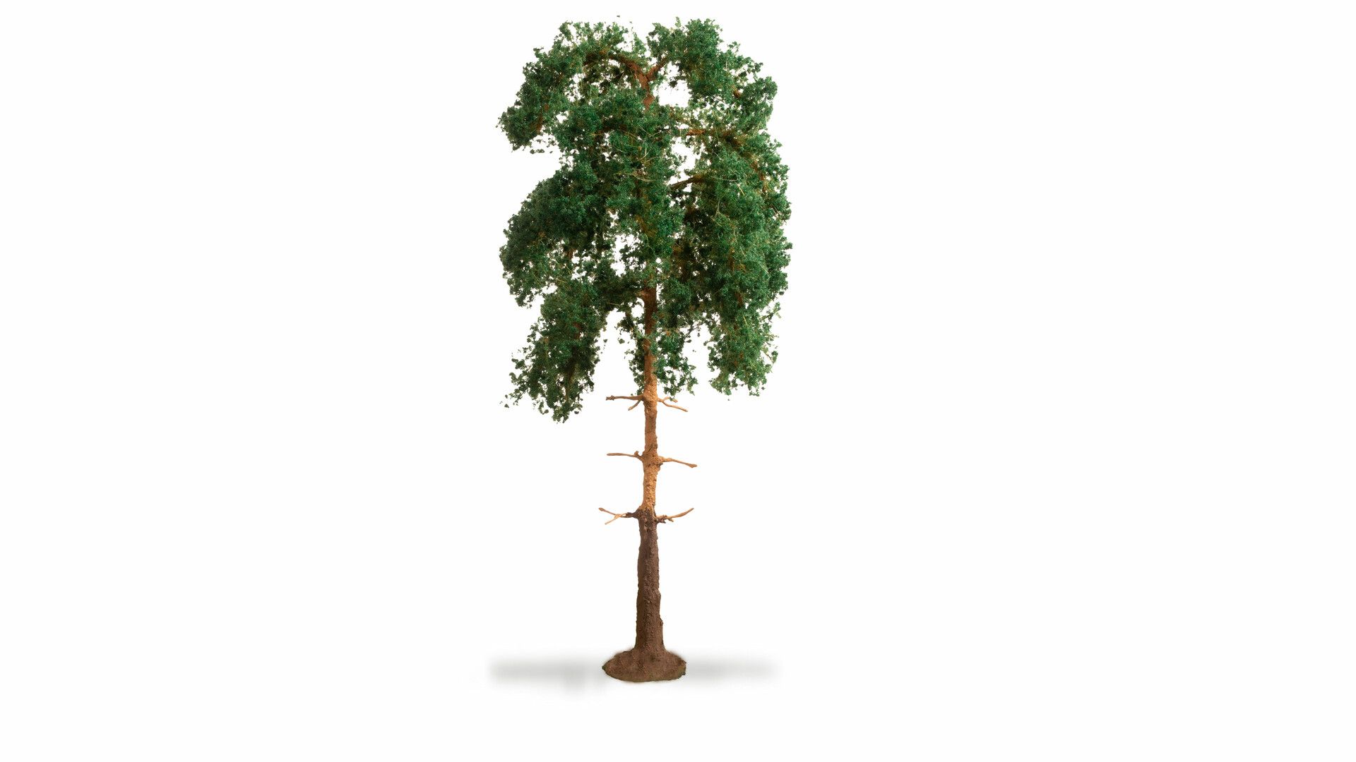 20141 Noch - Kiefer, 18cm hoch - allgemein