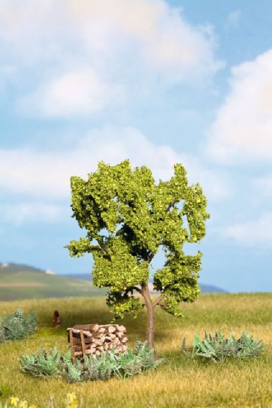 21600 Noch - Birnbaum, gr�n 11,5cm - allgemein