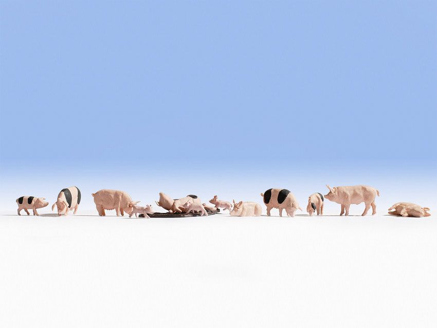 36712 Noch - N Schweine - Spur N